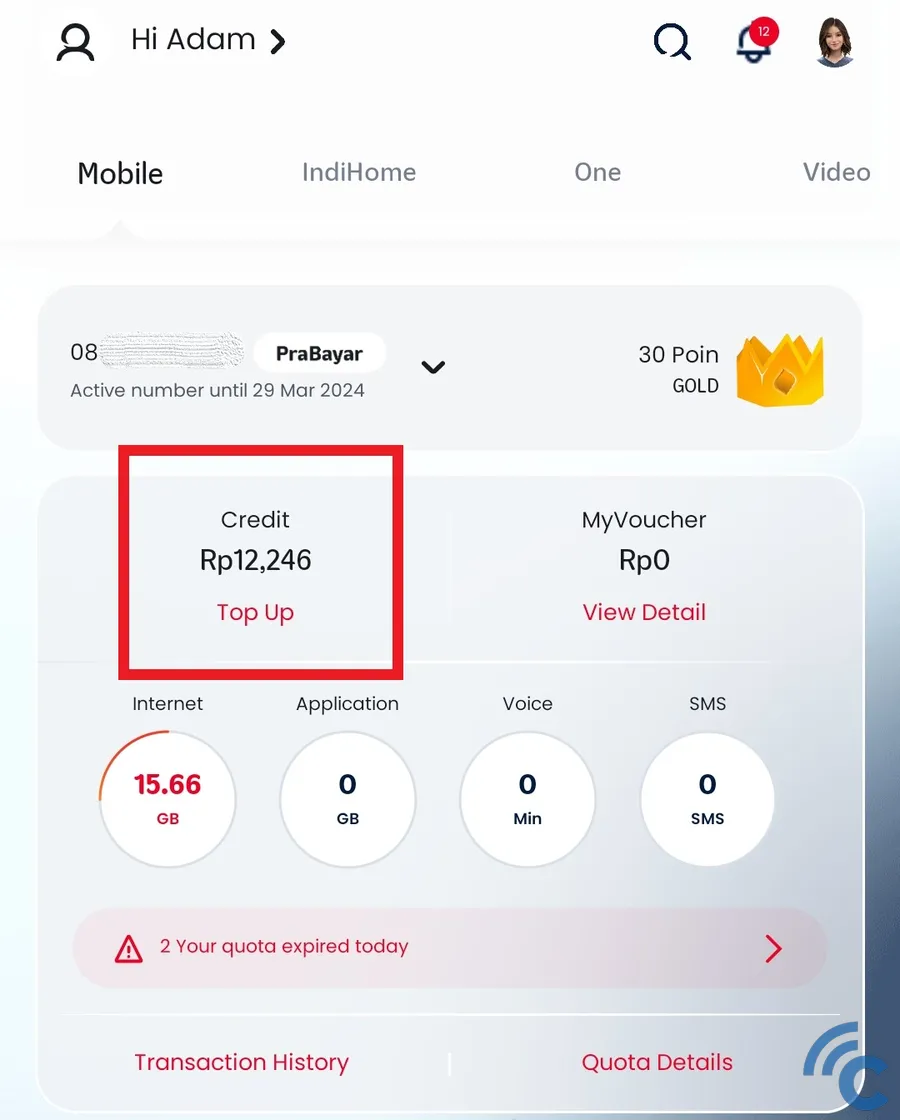 How to check remaining Telkomsel credit