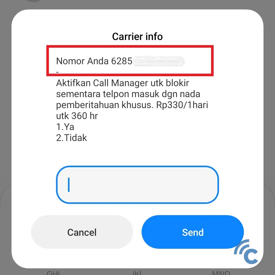 If successful, you will see information about the Telkomsel number that is being used.